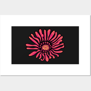 Pink Aster Flower Indigenous WAWEZHI CANADA Posters and Art